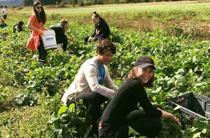 Volunteers gleaning for FareStart's Food Recovery Program