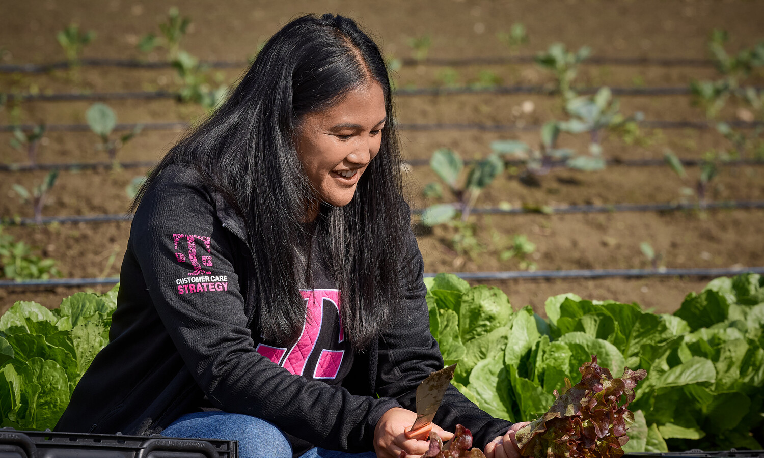 A FareStart volunteer wearing a T-Mobile sweater gleaning