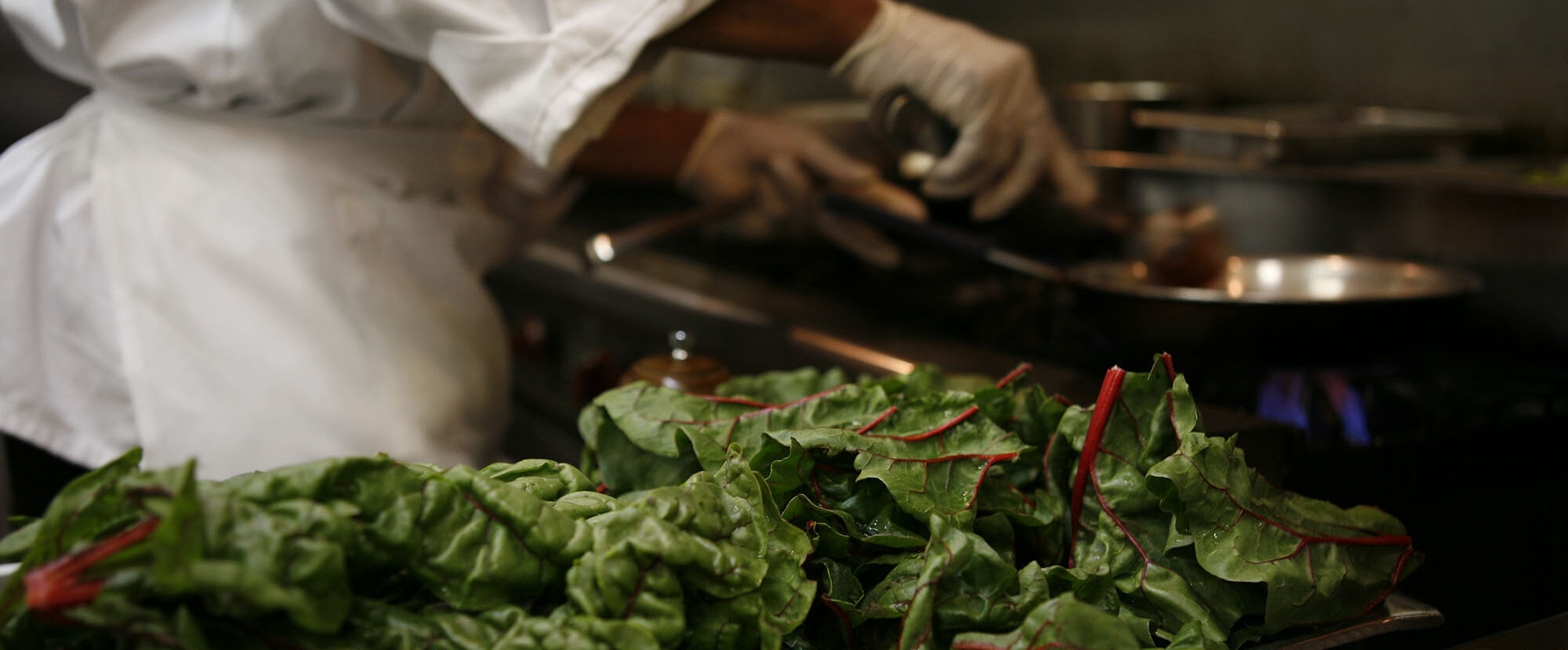 Chef preparing a dish with leafy green chard