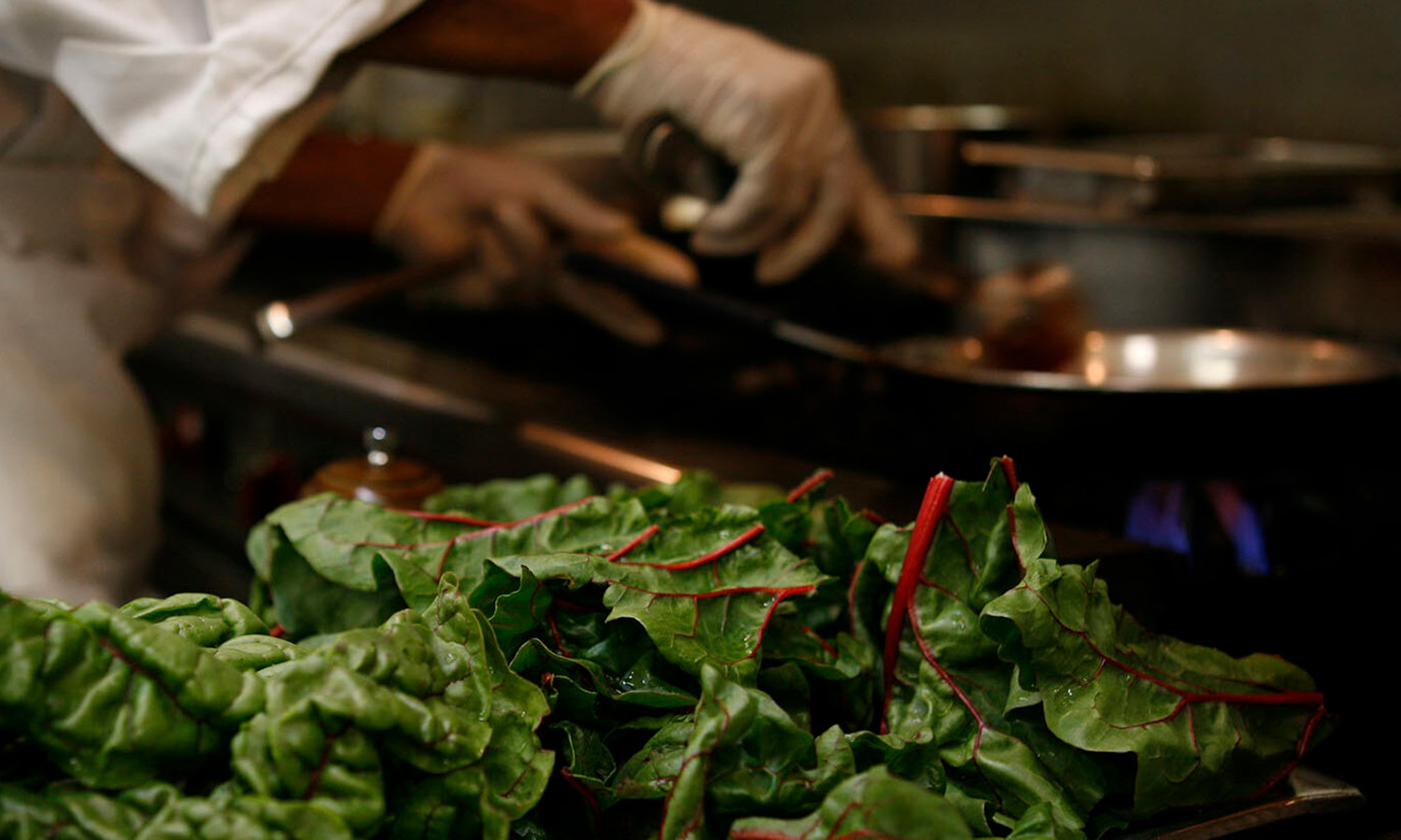 Chef preparing a dish with leafy green chard