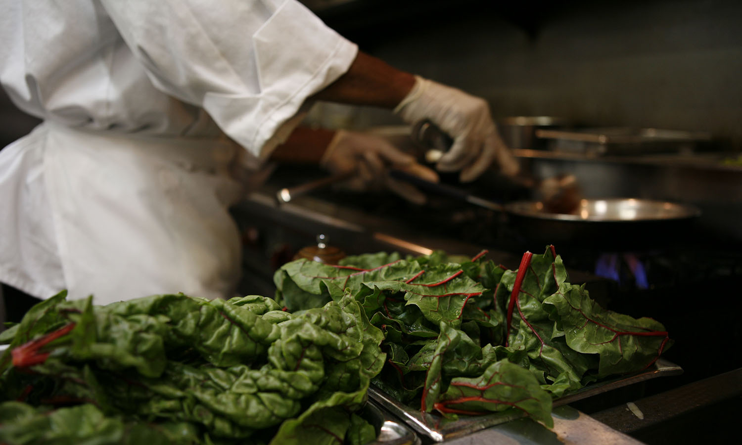 Chef preparing a dish with leafy green chard